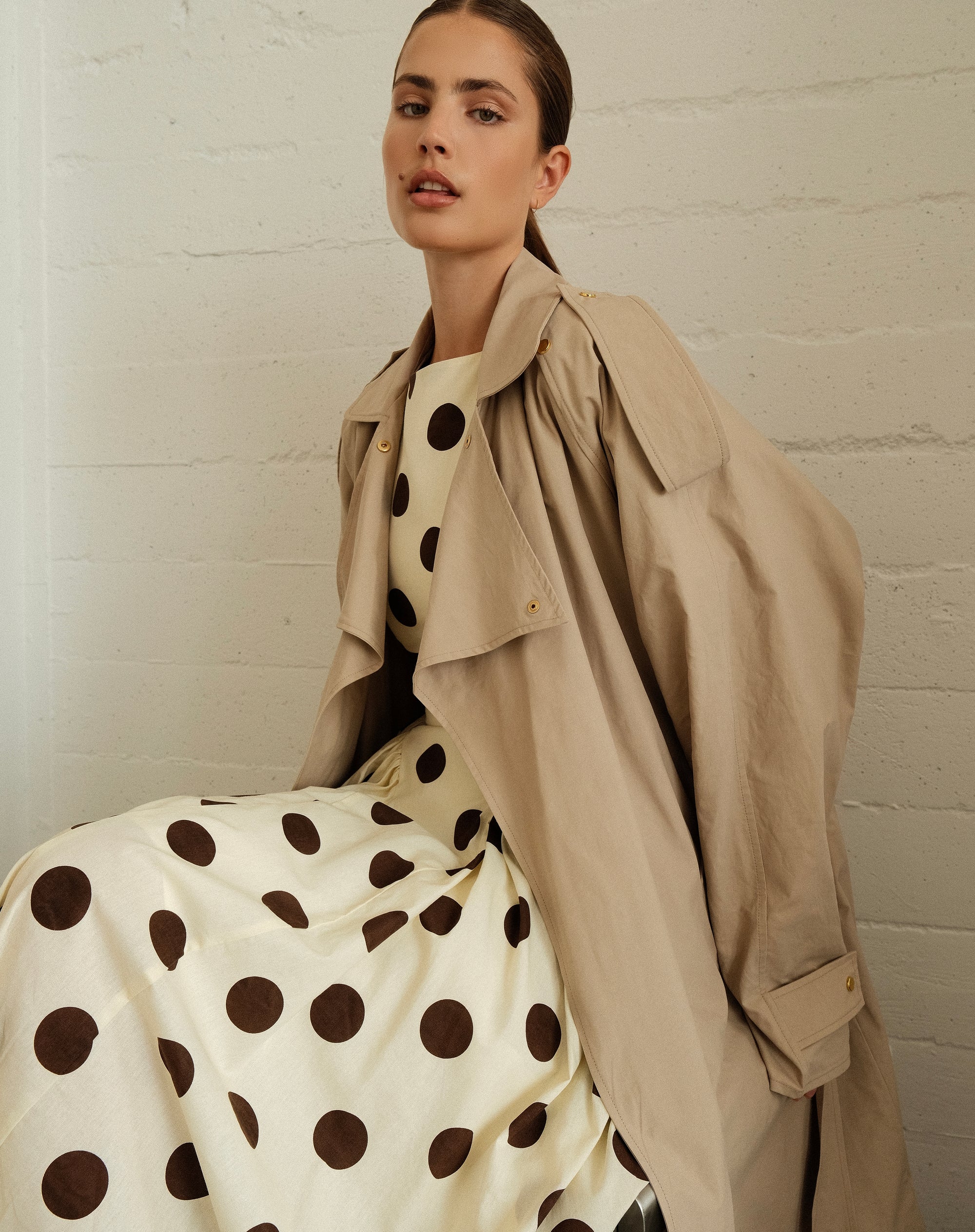 Chloe Dress, Brown Polka