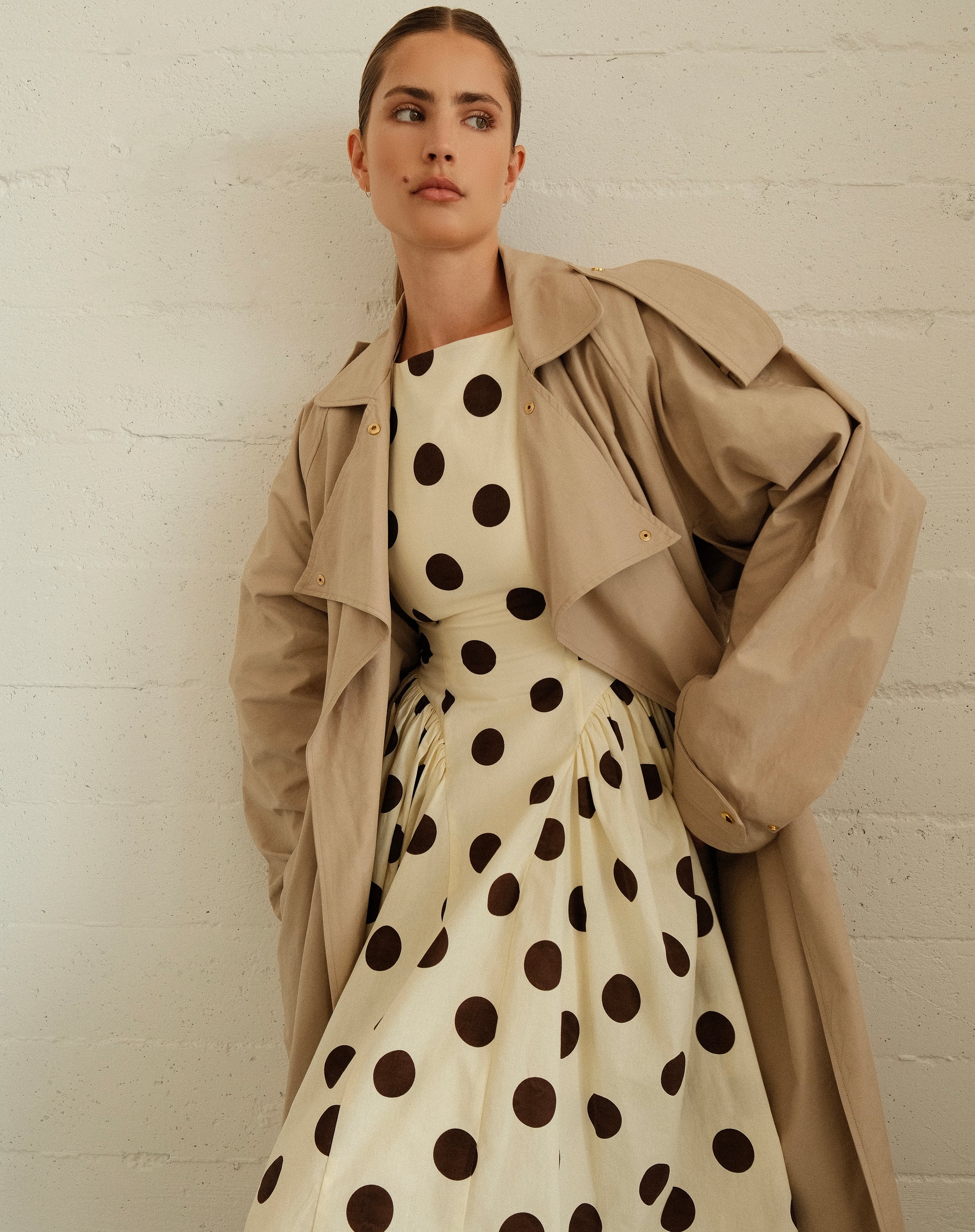 Chloe Dress, Brown Polka