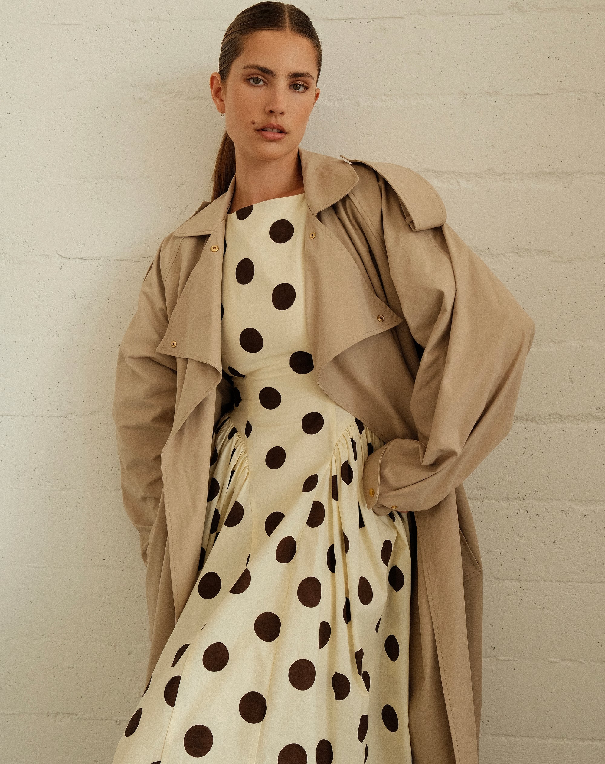 Chloe Dress, Brown Polka