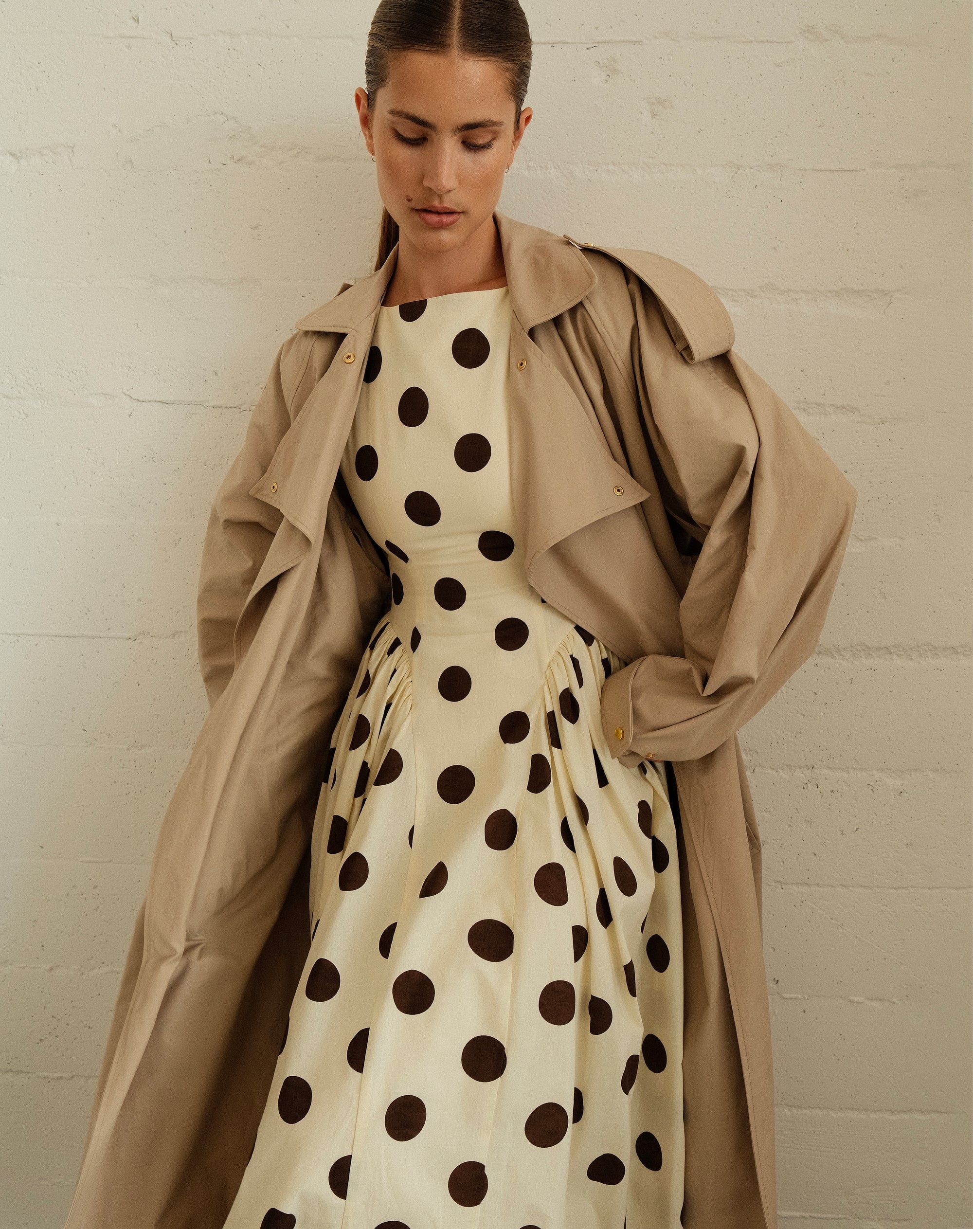 Chloe Dress, Brown Polka